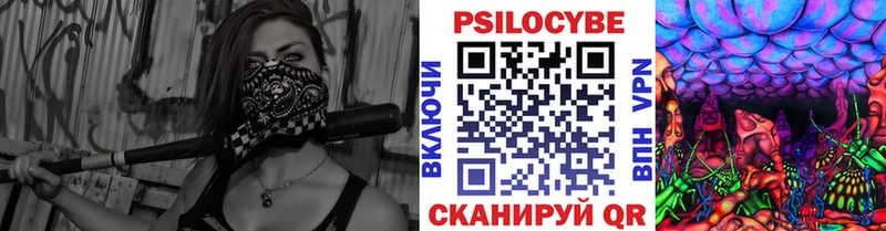 Псилоцибиновые грибы GOLDEN TEACHER Купить закладки Иланский