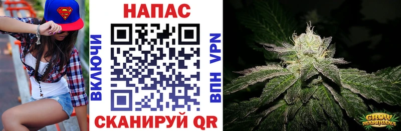 Каннабис сатива Купить где Иланский